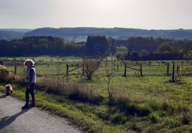 Randonnée Marche Nassogne - ambly N-D des champs ac - Photo