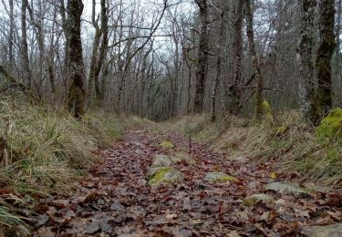 Percorso Marcia Molières - Molières 15,3km - Photo