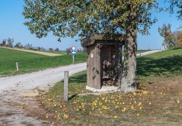 Trail On foot Pucking - Wanderweg Schnadt - Photo