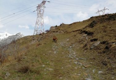 Trail Walking Saint-Jean-de-Maurienne - longefan / l'echaillon / longefan - Photo