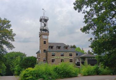 Trail Walking Houffalize - Le herou . Le chesle - Photo