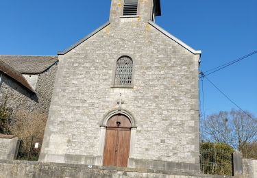 Trail Walking Dinant - Furfooz 020321 - Photo