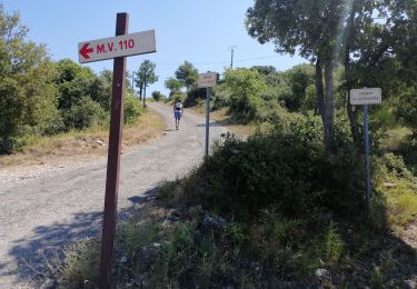 Tour Wandern Venasque - Le Beaucet - Photo