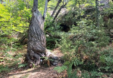 Trail Walking Annot - Les grès d'Annot-20-05-22 - Photo