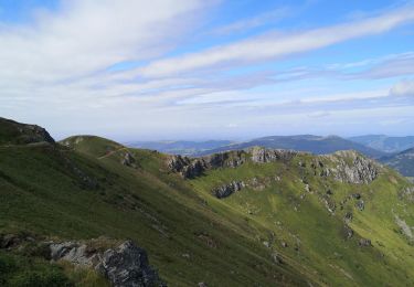 Excursión Senderismo Albepierre-Bredons - plomb du Cantal  - Photo