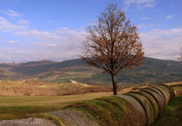 Randonnée A pied Pennabilli - IT-099 - Photo