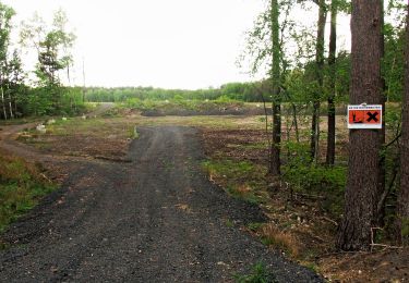 Tocht Te voet Munster - Zapfenweg - Photo