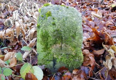 Tocht Te voet Onbekend - DE-SAV Roter Punkt, Waldebene Ost - Hedelfingen - Photo