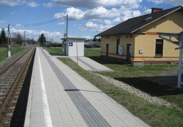 Tocht Te voet Straß in Steiermark - Fähren Weg - Photo