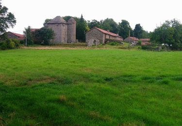 Trail Walking Chenereilles - Chenereilles, Lac de la Valette  - Photo