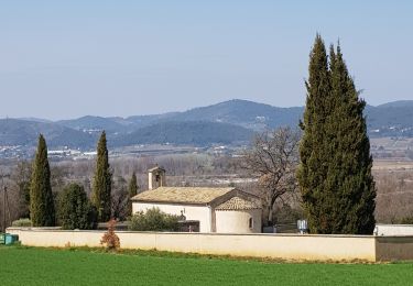 Tour Wandern Valensole - 1Chapelle Sainte Madeleine, Villedieu. - Photo