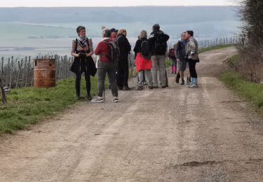 Tocht Stappen Montgueux - Mongueux - Photo