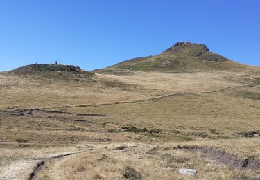 Trail Walking Chastreix - boucle de la fontaine salée  - Photo