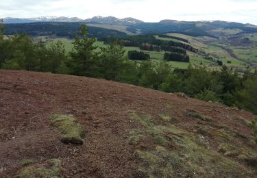 Trail Walking Saulzet-le-Froid - Puy de Montenard - Photo