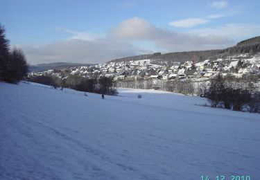 Percorso A piedi Netphen - [T] Wilgersdorf - Obernau-Talsperre - Photo