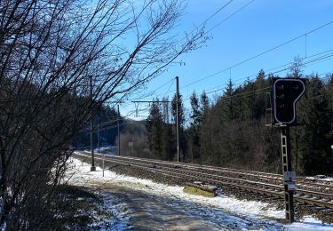 Tour Wandern Villers-la-Ville - VLV - promenade du Bois de l’Hermitage - Photo