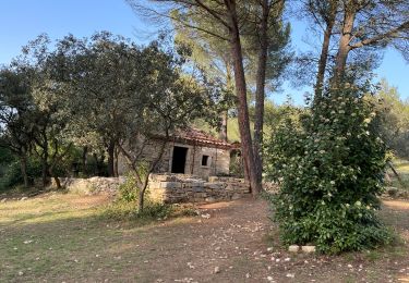 Tour Wandern Marguerittes - Le Télégraphe - La Combe des Bourguignons  - Photo