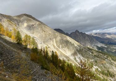 Trail Walking Saint-Martin-d'Entraunes - Puy du Pas Roubinous - Photo