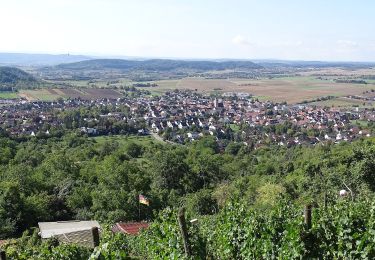 Percorso A piedi Ammerbuch - Ammerbucher Gigeleswegle - Photo