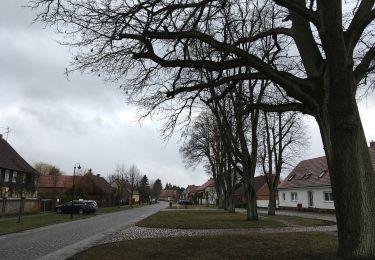 Randonnée A pied Wittstock/Dosse - Rundweg Wiesen, Felder und Auen - Photo