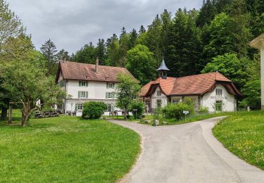 Randonnée Marche Val-de-Travers - 13- Noiraigue/Champ du Moulin-A/R - Photo