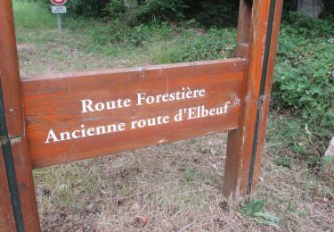 Tocht Stappen Louviers - 20200616-Louviers Parcours de Nicole - Photo