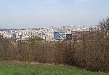 Tocht Stappen Boulogne-Billancourt - T-Parc de Saint Cloud - Photo