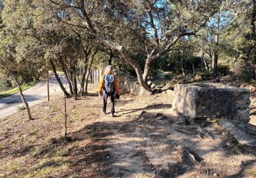 Percorso Marcia Roquebrune-sur-Argens - Rocher de Roquebrune sur Argens-23-02-22 - Photo
