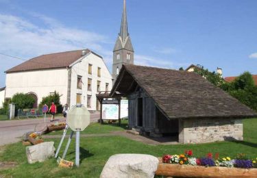 Tocht Stappen Girmont-Val-d'Ajol - le girmont - Photo