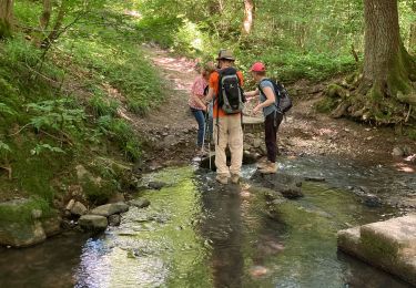 Tour Wandern Huy - Balade de la  Solières  - Photo