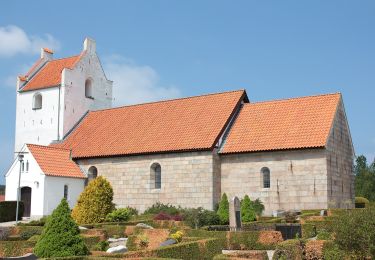 Tocht Te voet  - Fosdal Plantage Rød rute - Photo