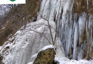 Trail On foot  - Vranjački Slap - Tihočaj - Photo