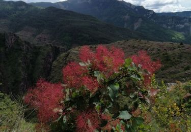 Randonnée Marche Daluis - Gorges du Daluis - Photo