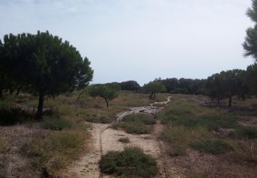 Trail Walking Torreilles - Les Dunes Juhègues - Photo