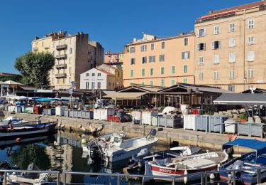 Tocht Stappen Ajaccio - Ajacio Hôtel Napoléon - Sanguinaires et chemin des douaniers - Photo