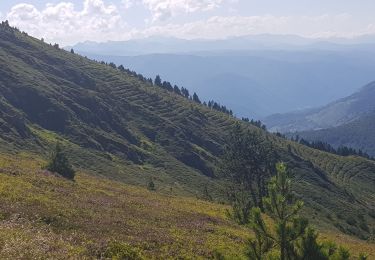 Trail Walking Ascou - col de pailleres - Photo