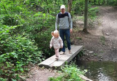 Tour Wandern Ohey - Promenade des Petits Ponts- Bois d'Ohey - Photo