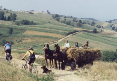 Tour Zu Fuß  - Cărbunari – Gârnic (red stripe) - Photo