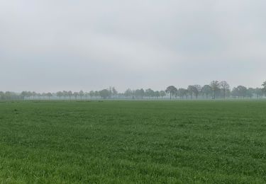 Trail Walking Kalmthout - De Kalmthout à l'Abbaye trappiste de Westmalle sur le GR5 - Photo