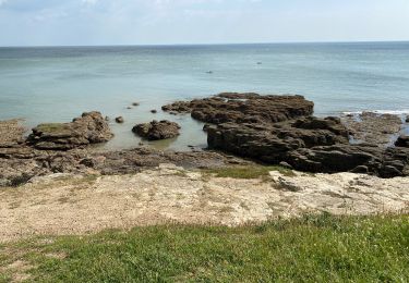 Tour Wandern Préfailles - Boucle en pointe de Saint Gildas - Photo