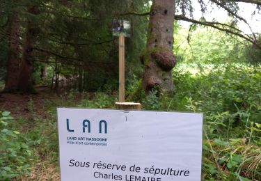 Trail Walking Nassogne - Sous réserve de sépulture  - Photo