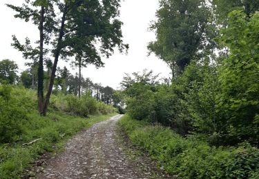Trail Walking Aywaille - remouchamps . aywaille . martinrive . chateau ambleve . florze . remouchamps  - Photo