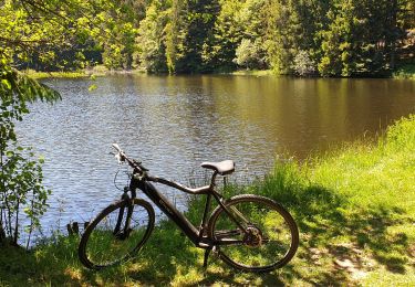 Trail Mountain bike Cornimont - Hauts de Cornimont - Photo