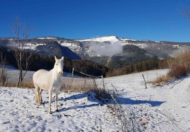 Tocht Noords wandelen Saint-Nizier-du-Moucherotte - St Nizier: Le Corba, Ferme Charvet - Boucle 8,5 km - Photo