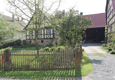 Tocht Te voet Pfarrweisach - Rundwanderweg Wildschwein Pfarrweissach - Photo