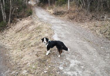 Trail Walking Ayent - pertou - Photo