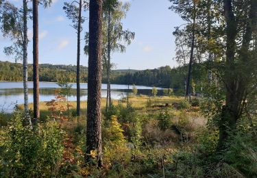 Tocht Te voet  - Kyrkstigen - Photo