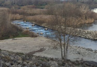 Tour Wandern Beaucaire - 2024-12-17 - Photo