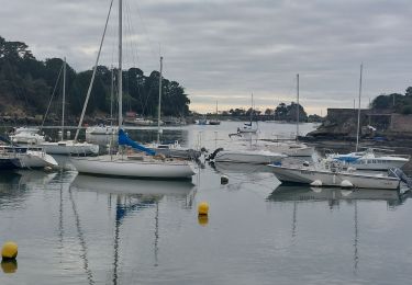 Trail Walking Vannes - PR_56_Vannes_BA_02_Les-Rives-De-Vannes_Circuit1b_20230203 - Photo