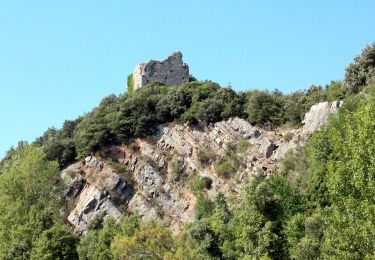 Percorso A piedi Gaiole in Chianti - Trekking tra i castelli 7 - Photo